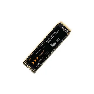 اس اس دی ایکس انرژی مدل FALCON M.2 NVME 2280 ظرفیت 256 گیگابایت